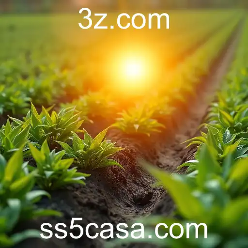 Inovação e Sustentabilidade no Brasil: O Impacto do Projeto SS5